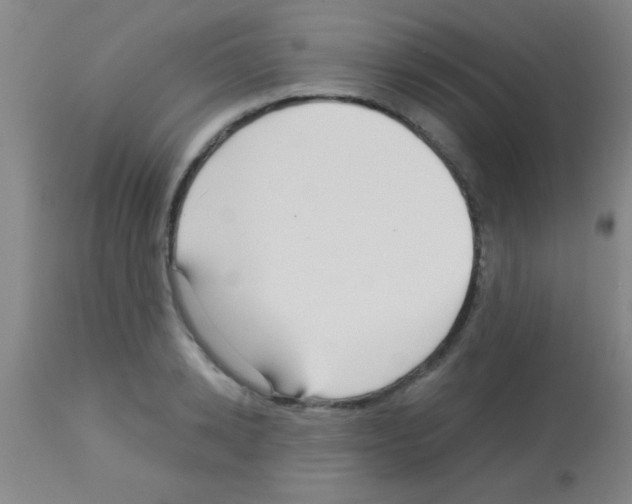 X0000113130942200910161129