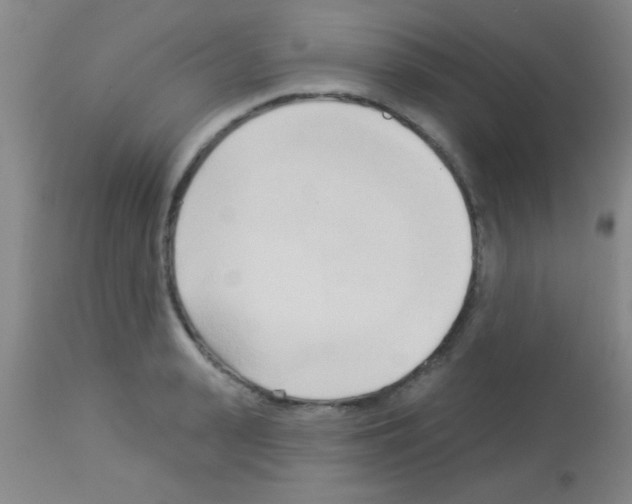 X0000113130943200910161129