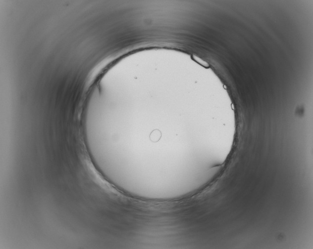 X0000113130944200910161129