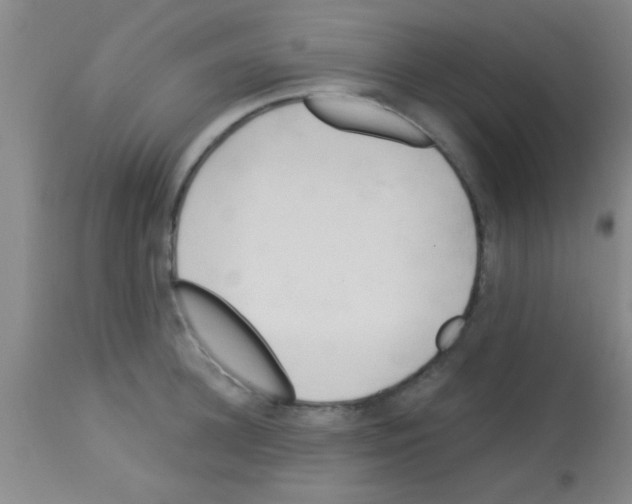 X0000113130948200910161129