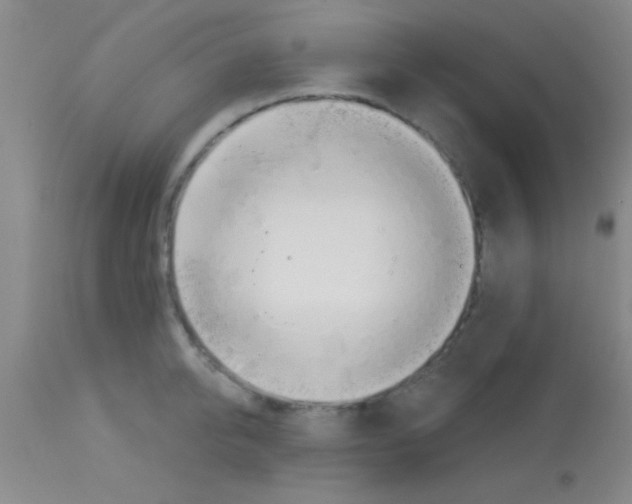 X0000113130950200910161129