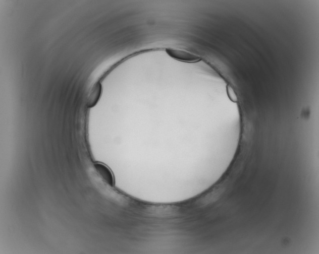 X0000113130952200910161129