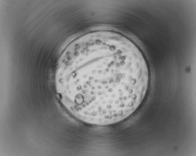 X0000113130953200910161129