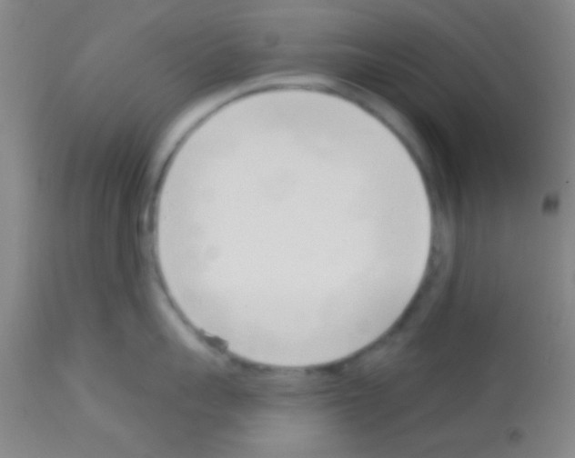 X0000113130959200910161129