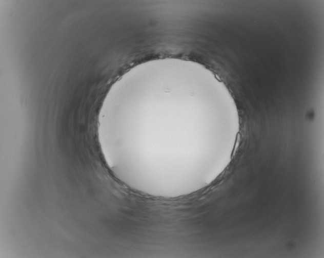 X0000113130961200910161128