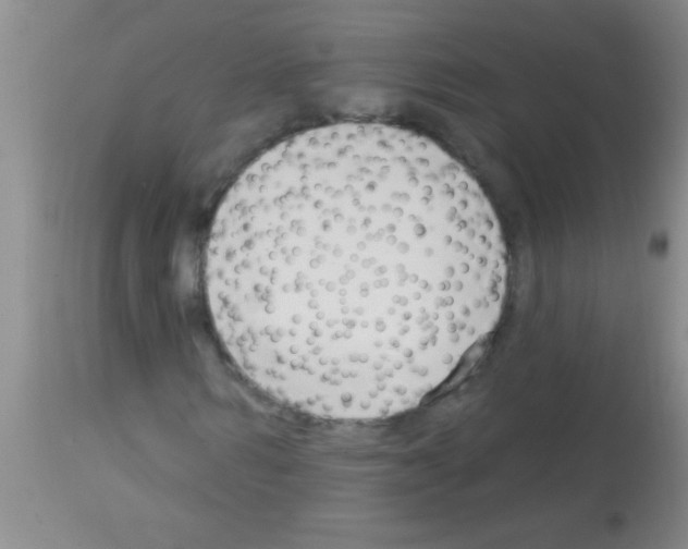 X0000113130962200910161128