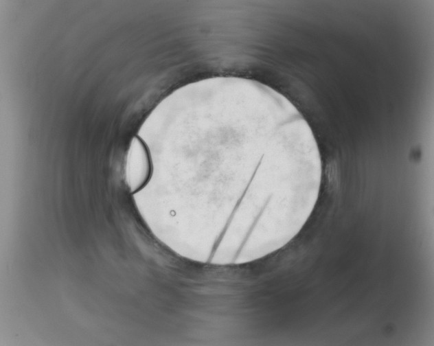 X0000113130963200910161128