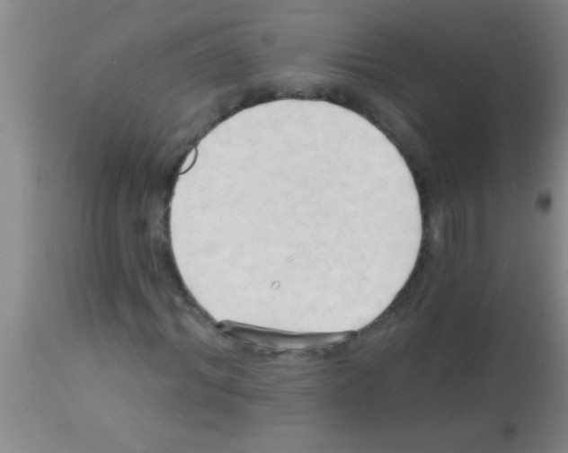 X0000113130964200910161128