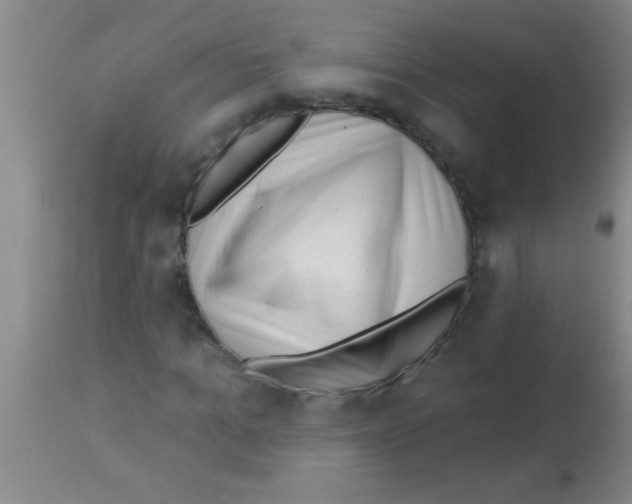 X0000113130965200910161128