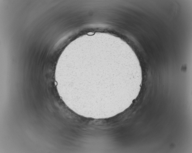 X0000113130967200910161128