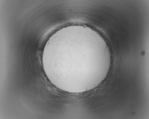 X0000113130968200910161128