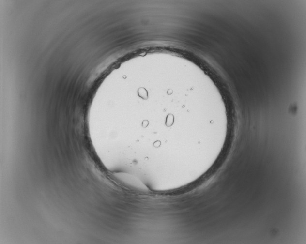 X0000113130969200910161128