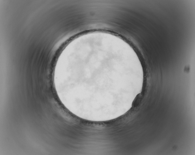 X0000113130975200910161128