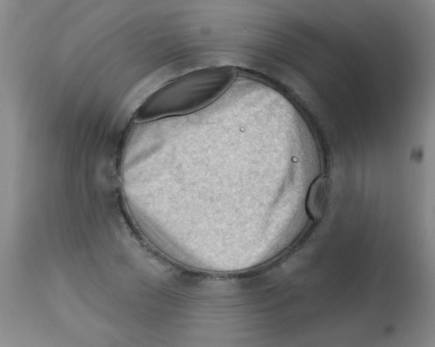 X0000113130977200910161128