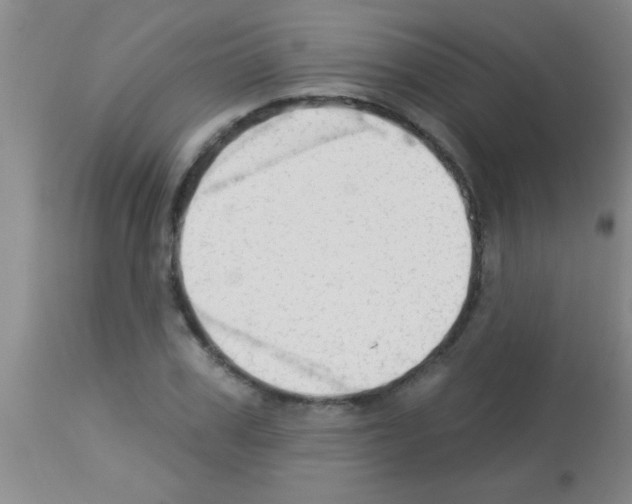 X0000113130979200910161128