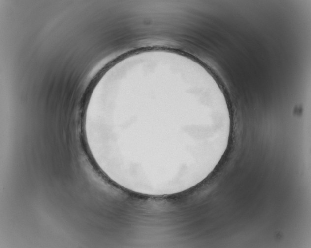 X0000113130983200910161128