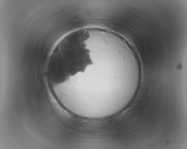 X0000113130984200910161128