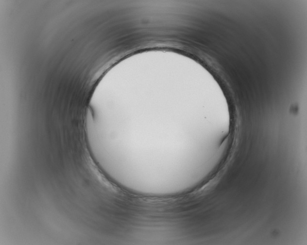 X0000113130985200910161128