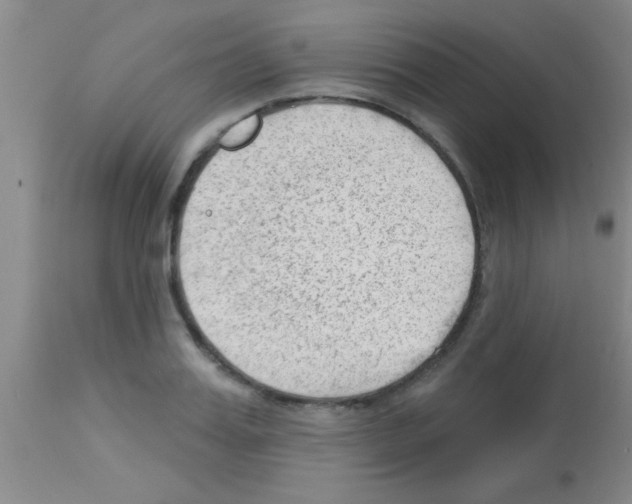 X0000113130987200910161128