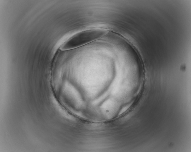 X0000113130989200910161128