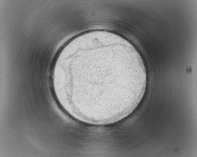 X0000113130991200910161128