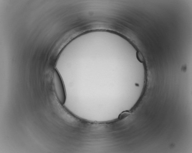 X0000113130993200910161128