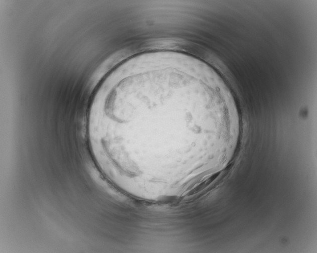 X0000113130994200910161128