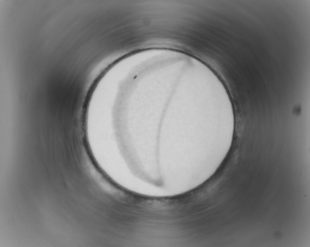 X0000113130995200910161128