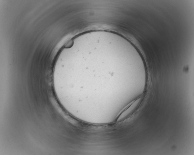 X0000113130997200910161128