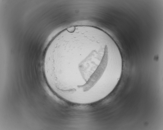 X0000113130998200910161128