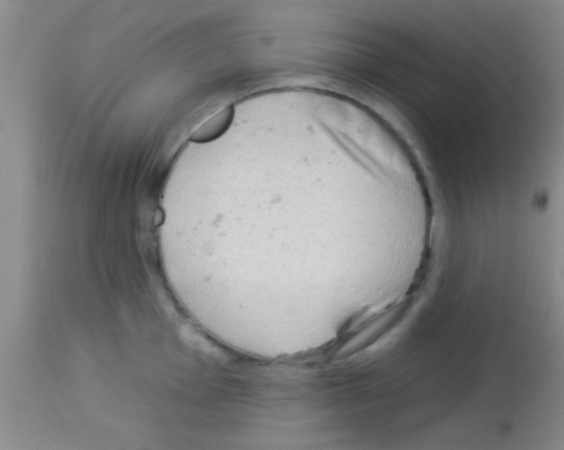 X0000113131001200910161128