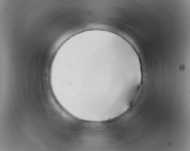 X0000113131007200910161128