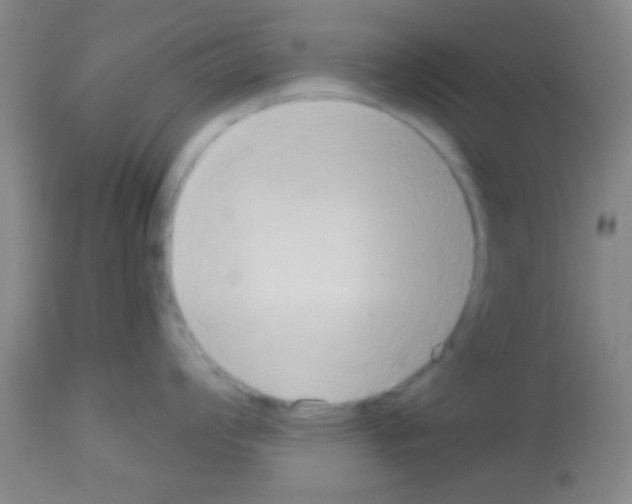 X0000113131008200910161128