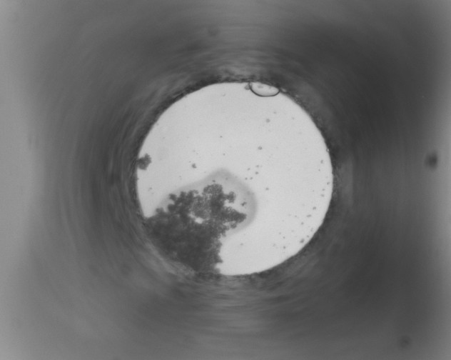 X0000113131009200910161127