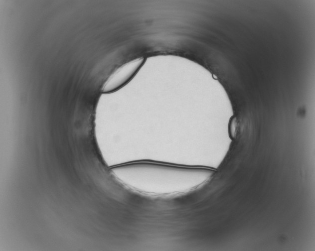 X0000113131012200910161127