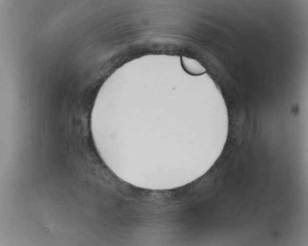 X0000113131013200910161127