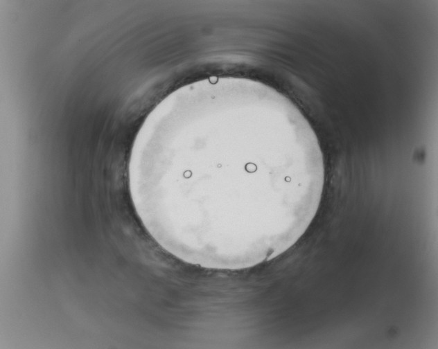 X0000113131014200910161127