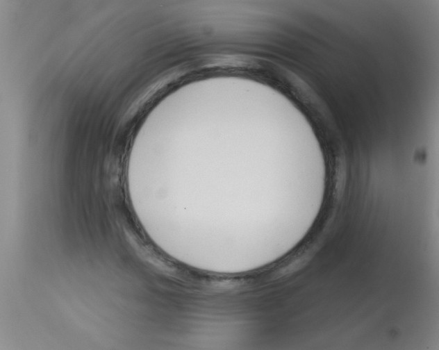 X0000113131017200910161127