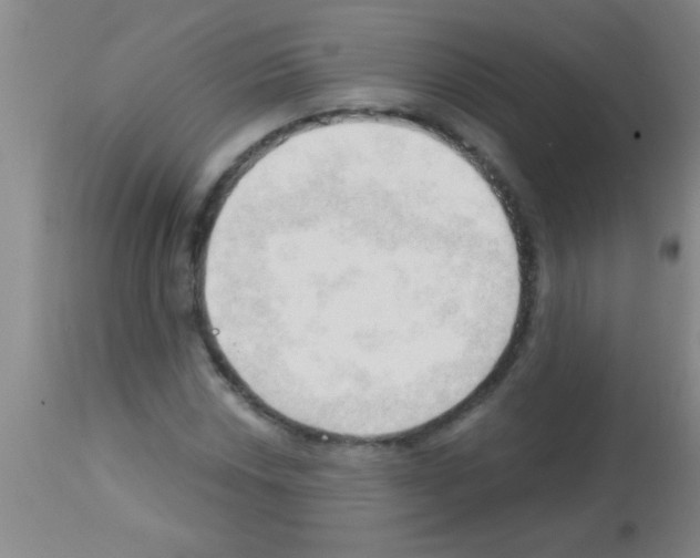 X0000113131018200910161127