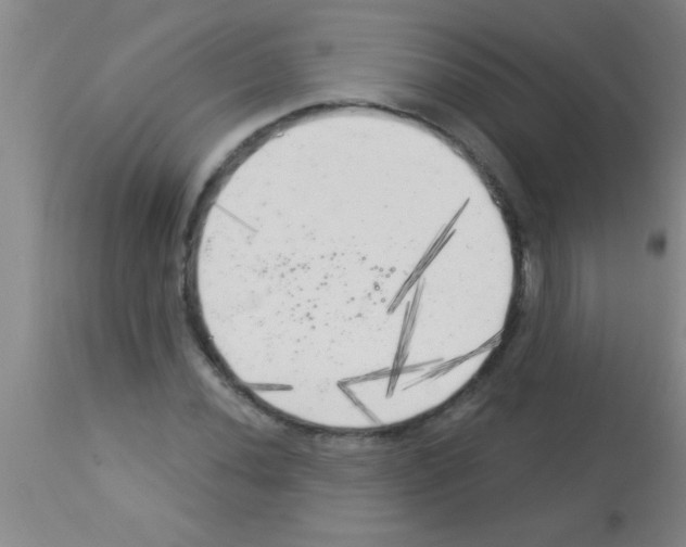 X0000113131020200910161127