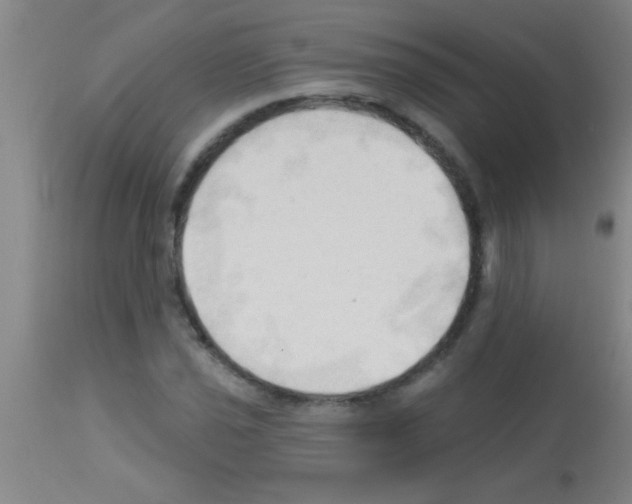 X0000113131021200910161127