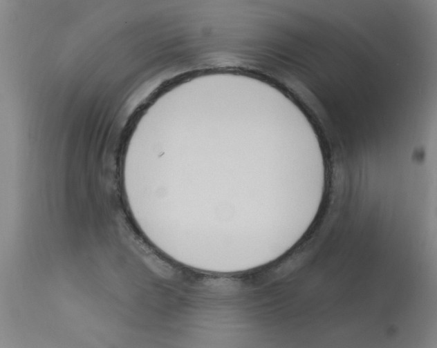 X0000113131023200910161127