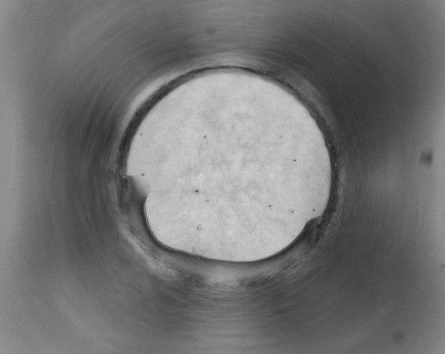 X0000113131024200910161127