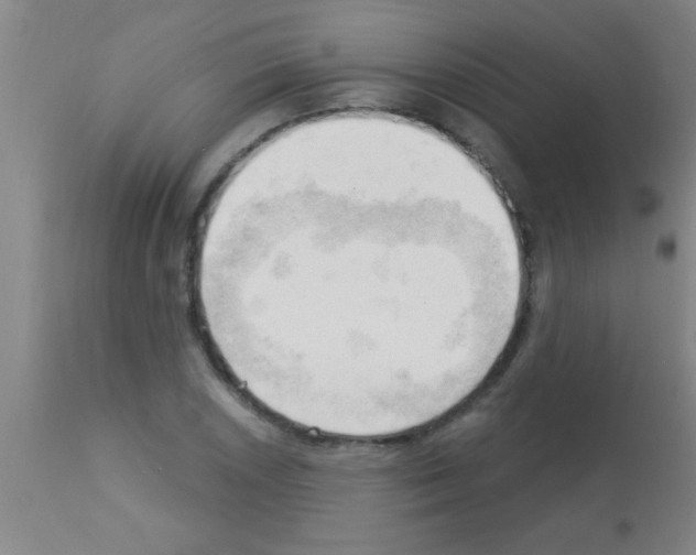 X0000113131026200910161127