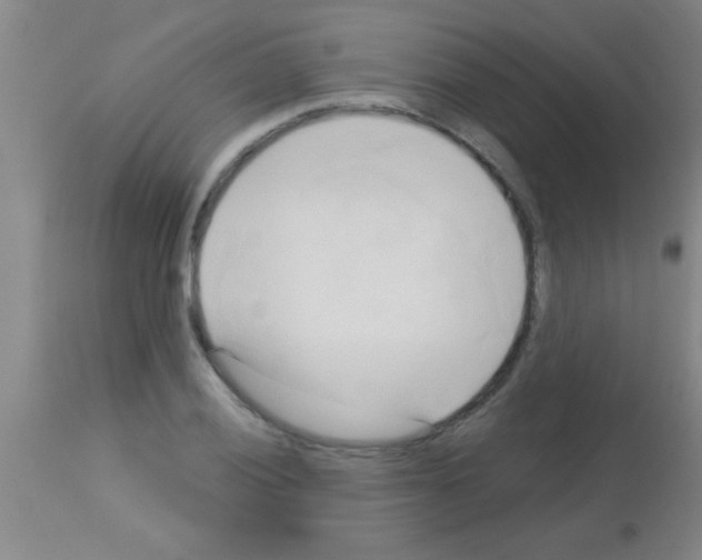 X0000113131028200910161127