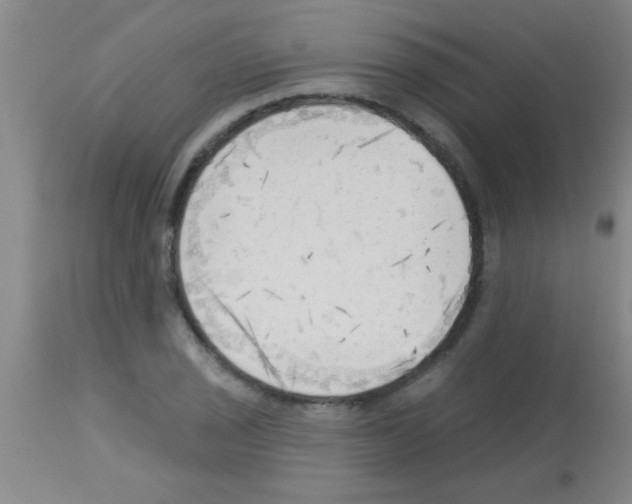 X0000113131029200910161127