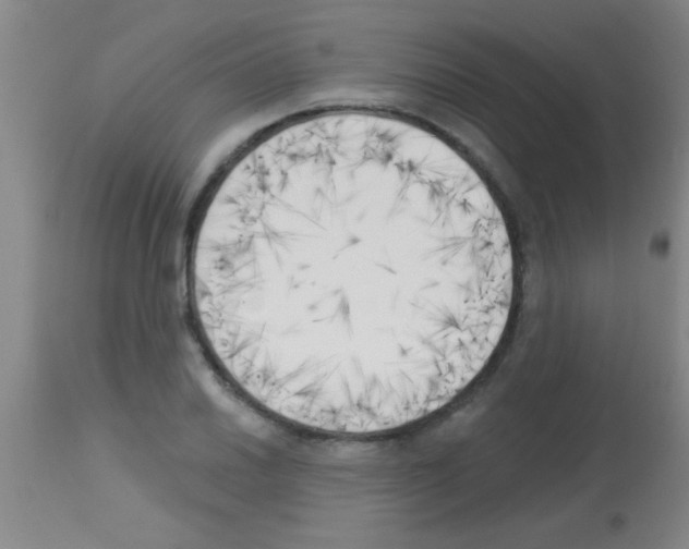 X0000113131030200910161127