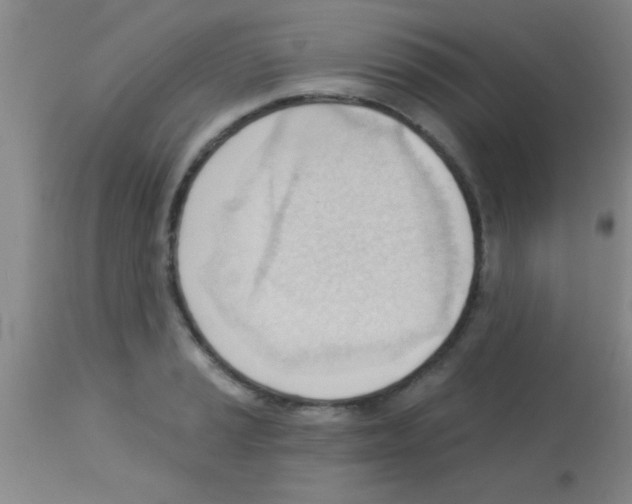 X0000113131037200910161127