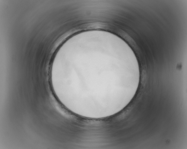 X0000113131039200910161127