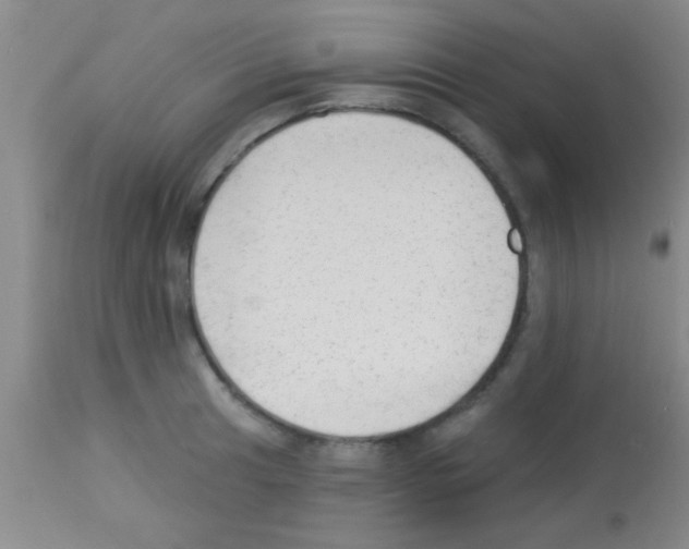 X0000113131041200910161127